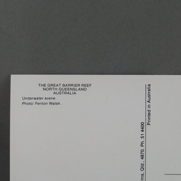 Vintage Postcard - Underwater Scene Great Barrier Reef - Peer Prodcutions - Picture 3 of 4